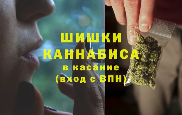 сатива Аркадак