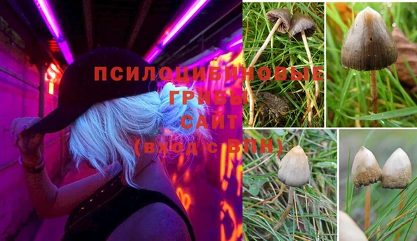 мяу мяу мука Наволоки