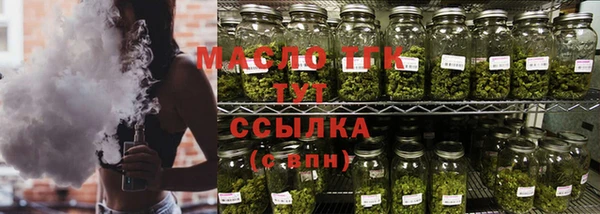 сатива Аркадак