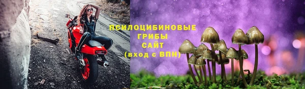 прущий лед Надым