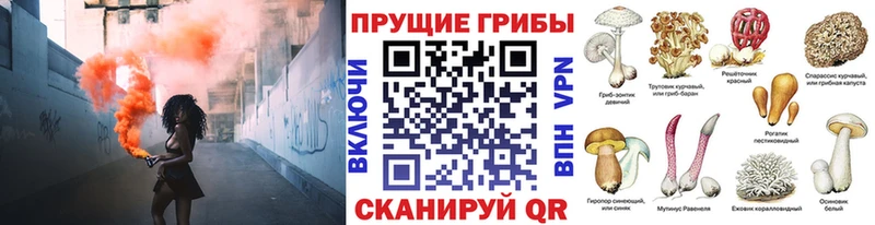 shop Telegram Спасск-Дальний OMG зеркало Псилоцибиновые грибы Magic Shrooms купить сайты
